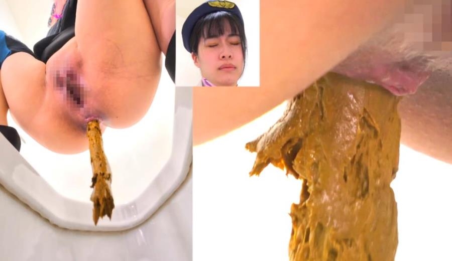 Long Shit on Western and Japanese Style Toilets BFEE-301 2025 (1920x1080 FullHD)