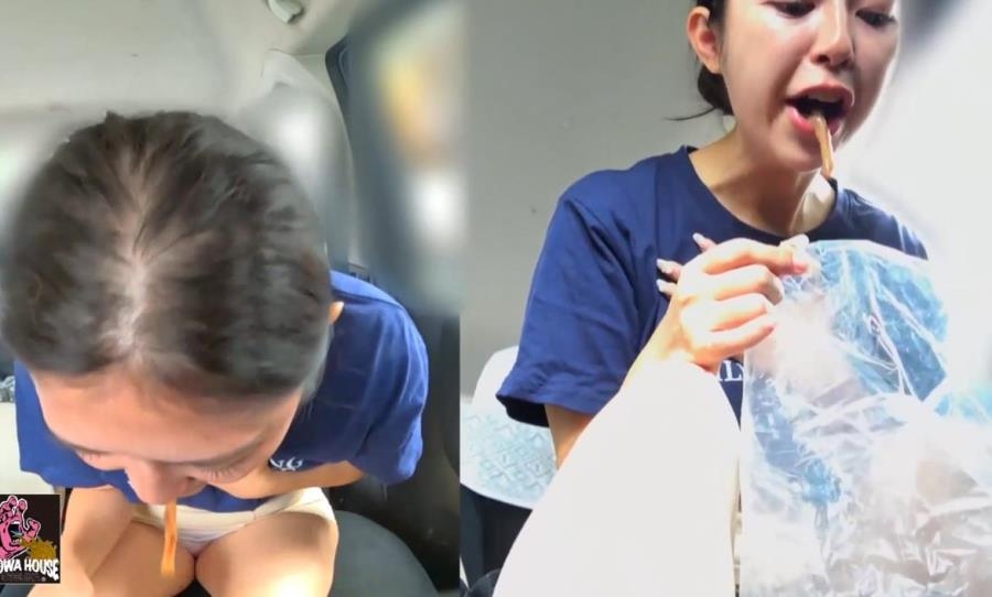 Don’t Vomit in My Car 私の車の中で嘔吐しないでください BFJV-176 2025 (1920x1080 FullHD)