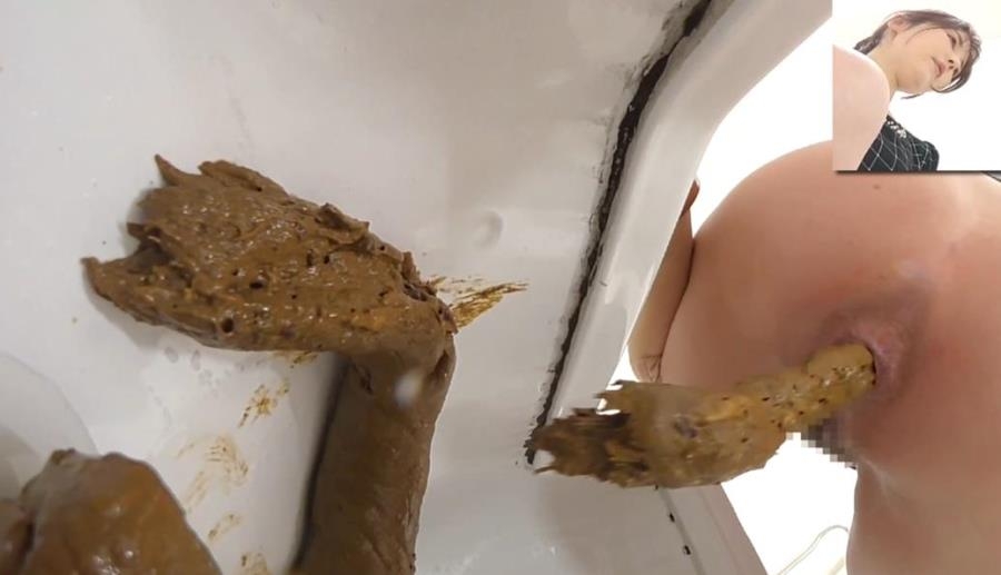 洋式トイレと和式トイレでウンコする Long Shit Japanese Toilets BFEE-320 2026 (1920x1080 FullHD)